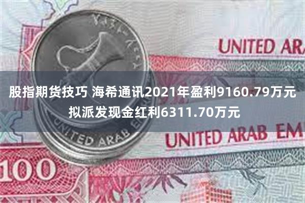 股指期货技巧 海希通讯2021年盈利9160.79万元 拟派发现金红利6311.70万元