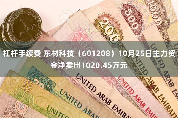 杠杆手续费 东材科技（601208）10月25日主力资金净卖出1020.45万元