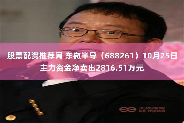 股票配资推荐网 东微半导（688261）10月25日主力资金净卖出2816.51万元