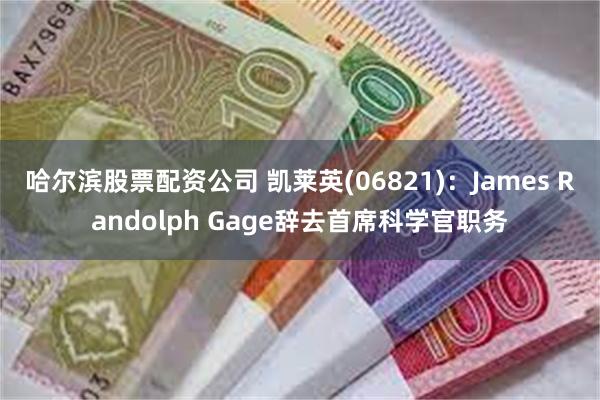 哈尔滨股票配资公司 凯莱英(06821)：James Randolph Gage辞去首席科学官职务