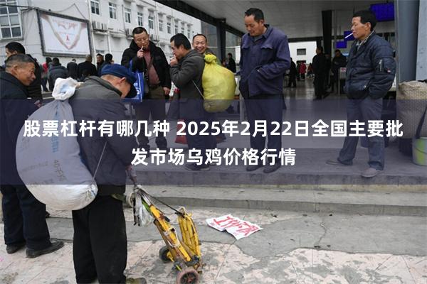 股票杠杆有哪几种 2025年2月22日全国主要批发市场乌鸡价格行情