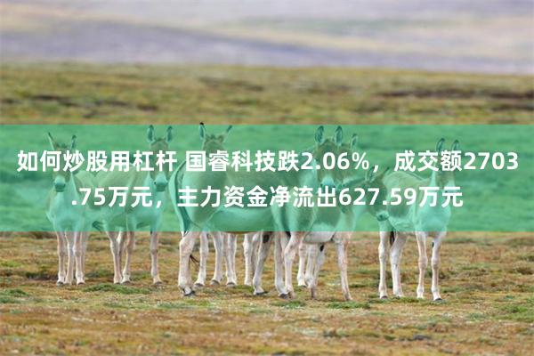 如何炒股用杠杆 国睿科技跌2.06%，成交额2703.75万元，主力资金净流出627.59万元